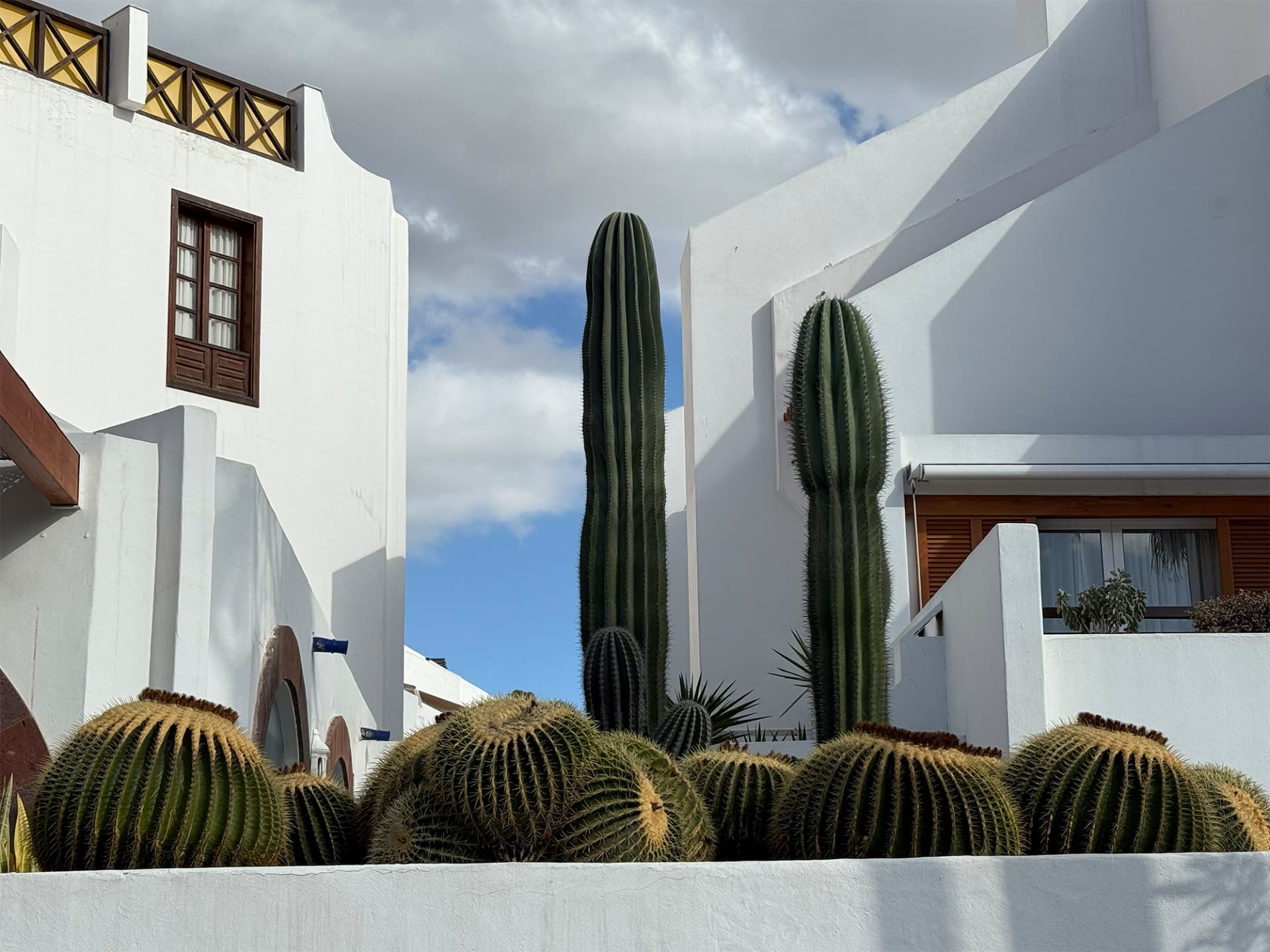 Arquitectura blanca del sur de Tenerife con cactus altos y nubes