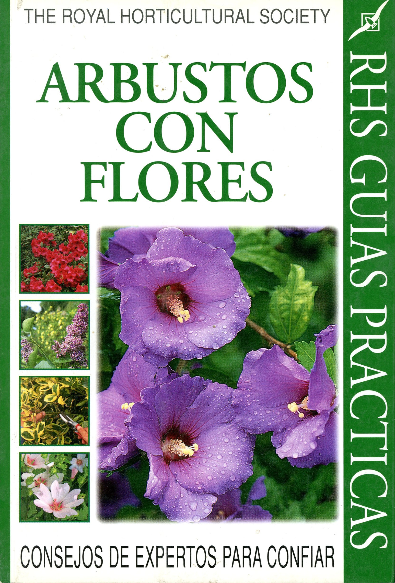 Portada del libro «Arbustos con flores: consejos de expertos para confiar», de Royal Horticultural Society