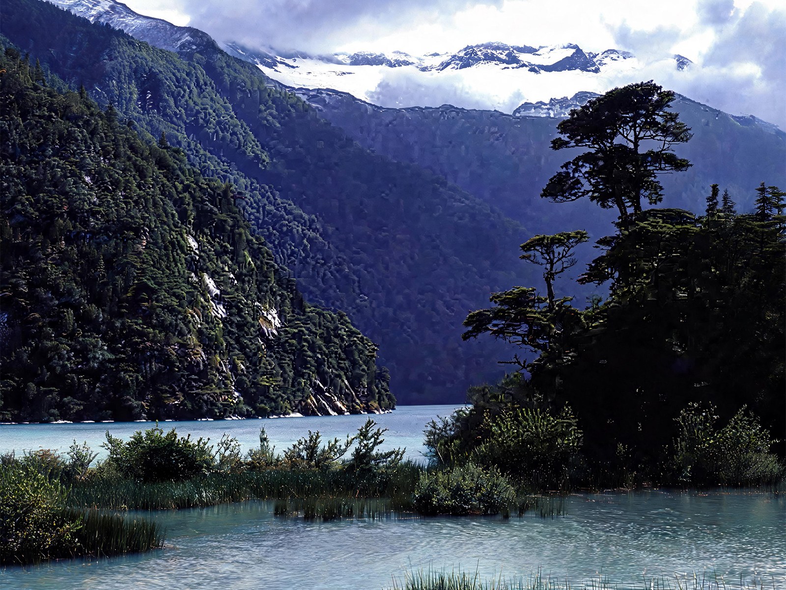 Puerto Blest, Río Negro, Argentina