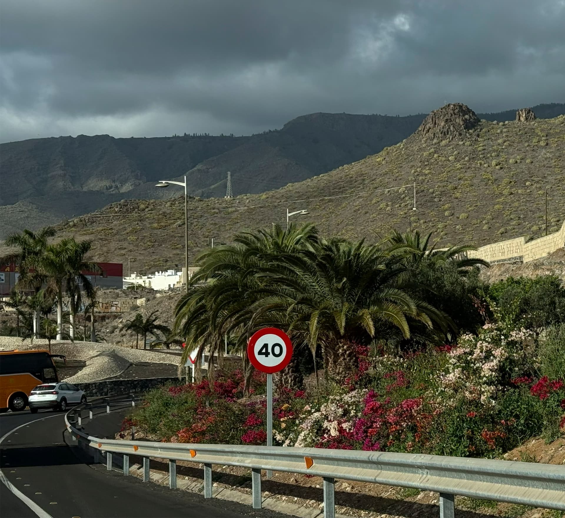 Carretera entre palmeras y flores con una señal de velocidad y montañas bajo nubes
