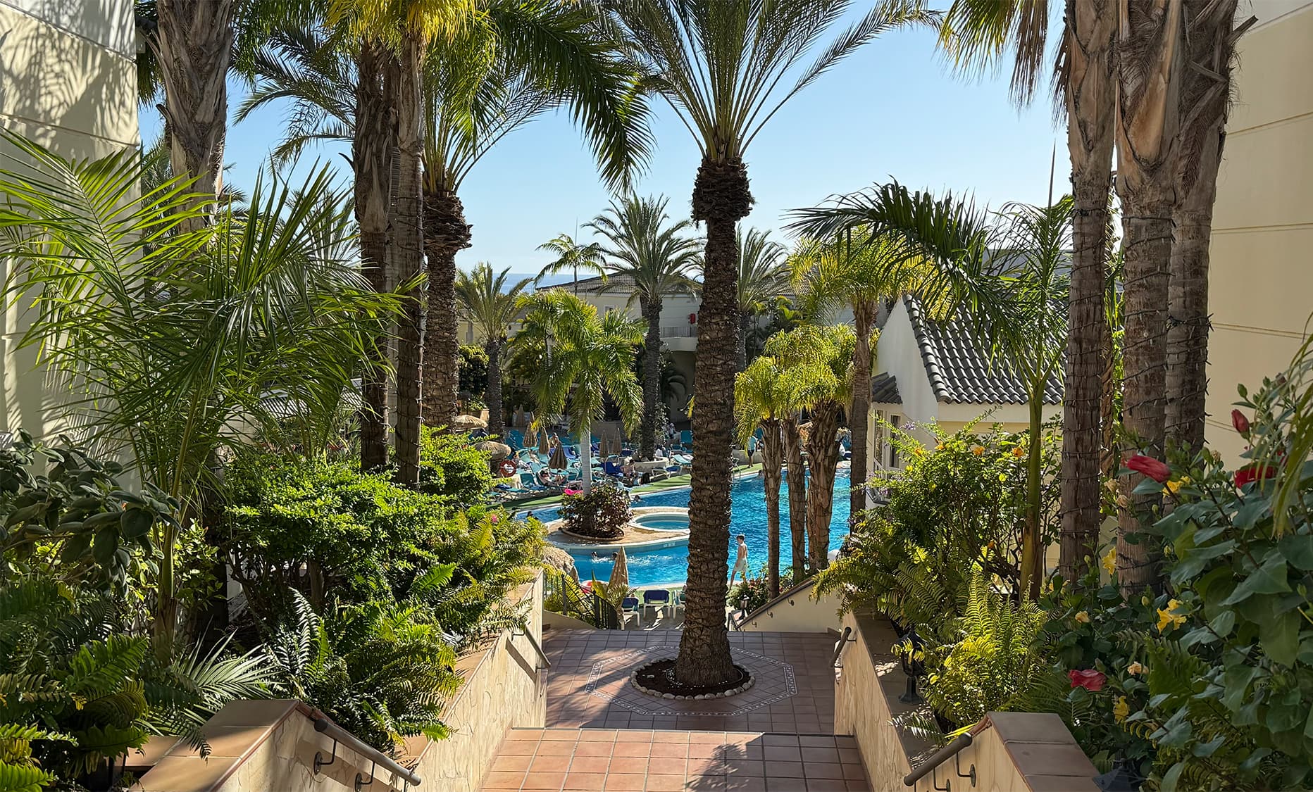 Jardín subtropical del alojamiento con palmeras, escaleras y piscina