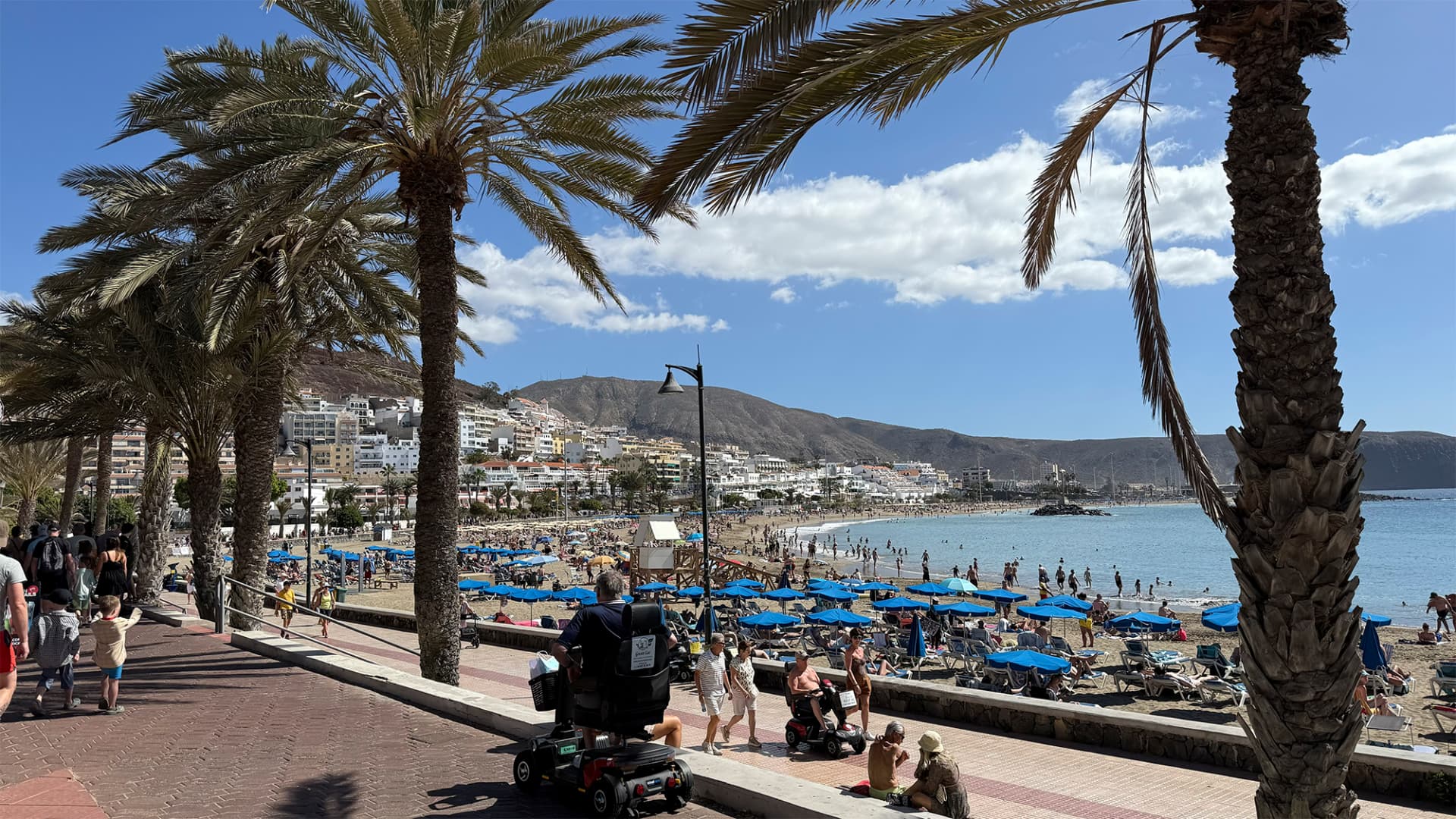 Playa y paseo marítimo de Tenerife vistos entre palmeras, con edificios, sombrillas y la bahía