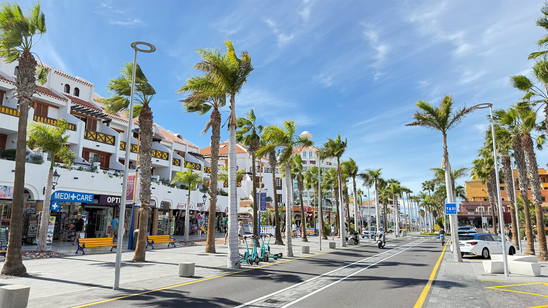 Avenida arbolada del sur de Tenerife con palmeras, comercios y edificios blancos